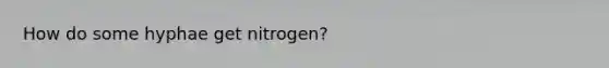 How do some hyphae get nitrogen?