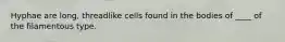 Hyphae are long, threadlike cells found in the bodies of ____ of the filamentous type.