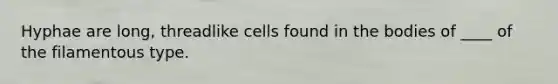 Hyphae are long, threadlike cells found in the bodies of ____ of the filamentous type.