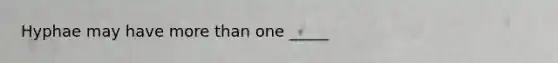 Hyphae may have more than one _____