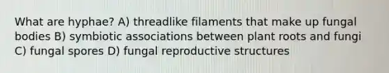 What are hyphae? A) threadlike filaments that make up fungal bodies B) symbiotic associations between plant roots and fungi C) fungal spores D) fungal reproductive structures