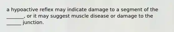 a hypoactive reflex may indicate damage to a segment of the _______, or it may suggest muscle disease or damage to the ______ junction.