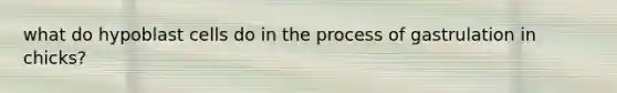 what do hypoblast cells do in the process of gastrulation in chicks?