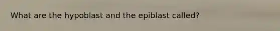 What are the hypoblast and the epiblast called?