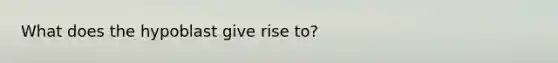 What does the hypoblast give rise to?