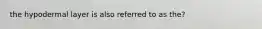 the hypodermal layer is also referred to as the?