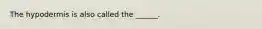 The hypodermis is also called the ______.