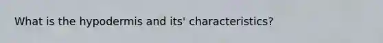 What is the hypodermis and its' characteristics?