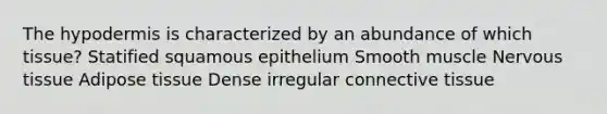 The hypodermis is characterized by an abundance of which tissue? Statified squamous epithelium Smooth muscle <a href='https://www.questionai.com/knowledge/kqA5Ws88nP-nervous-tissue' class='anchor-knowledge'>nervous tissue</a> Adipose tissue Dense irregular <a href='https://www.questionai.com/knowledge/kYDr0DHyc8-connective-tissue' class='anchor-knowledge'>connective tissue</a>