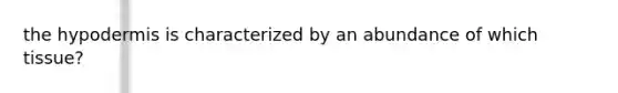 the hypodermis is characterized by an abundance of which tissue?