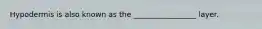Hypodermis is also known as the _________________ layer.