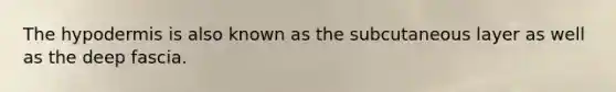 The hypodermis is also known as the subcutaneous layer as well as the deep fascia.