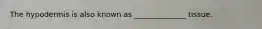 The hypodermis is also known as ______________ tissue.