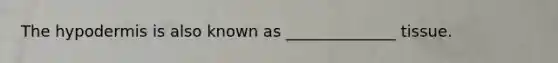 <a href='https://www.questionai.com/knowledge/ktsCAWWU5U-the-hypodermis' class='anchor-knowledge'>the hypodermis</a> is also known as ______________ tissue.