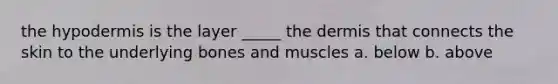 the hypodermis is the layer _____ the dermis that connects the skin to the underlying bones and muscles a. below b. above