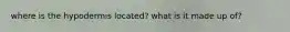 where is the hypodermis located? what is it made up of?
