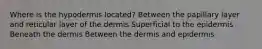 Where is the hypodermis located? Between the papillary layer and reticular layer of the dermis Superficial to the epidermis Beneath the dermis Between the dermis and epidermis