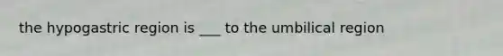 the hypogastric region is ___ to the umbilical region