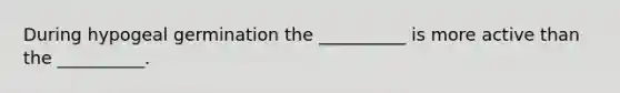 During hypogeal germination the __________ is more active than the __________.