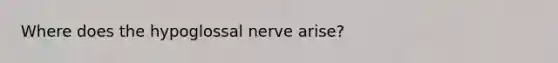 Where does the hypoglossal nerve arise?