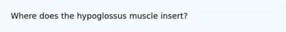 Where does the hypoglossus muscle insert?