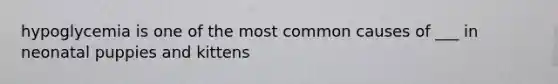 hypoglycemia is one of the most common causes of ___ in neonatal puppies and kittens