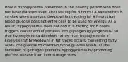 How is hypoglycemia prevented in the healthy person who does not have diabetes even after fasting for 8 hours? A Metabolism is so slow when a person sleeps without eating for 8 hours that blood glucose does not enter cells to be used for energy. As a result, hypoglycemia does not occur. B Fasting for 8 hours triggers conversion of proteins into glycogen (glycogenesis) so that hyperglycemia develops rather than hypoglycemia. C Lipolysis (fat breakdown) in fat stores occurs, converting fatty acids into glucose to maintain blood glucose levels. D The secretion of glucagon prevents hypoglycemia by promoting glucose release from liver storage sites.