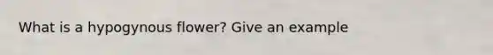 What is a hypogynous flower? Give an example