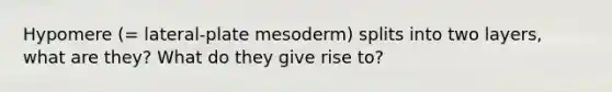 Hypomere (= lateral-plate mesoderm) splits into two layers, what are they? What do they give rise to?