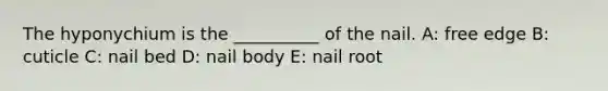 The hyponychium is the __________ of the nail. A: free edge B: cuticle C: nail bed D: nail body E: nail root