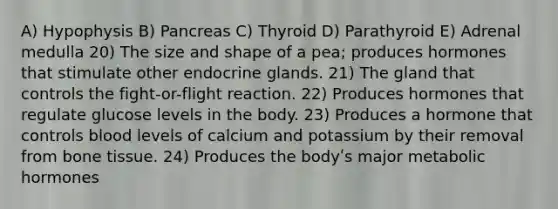 A) Hypophysis B) Pancreas C) Thyroid D) Parathyroid E) Adrenal medulla 20) The size and shape of a pea; produces hormones that stimulate other endocrine glands. 21) The gland that controls the fight-or-flight reaction. 22) Produces hormones that regulate glucose levels in the body. 23) Produces a hormone that controls blood levels of calcium and potassium by their removal from bone tissue. 24) Produces the bodyʹs major metabolic hormones