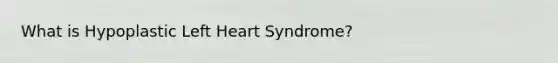 What is Hypoplastic Left Heart Syndrome?