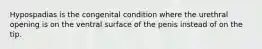 Hypospadias is the congenital condition where the urethral opening is on the ventral surface of the penis instead of on the tip.