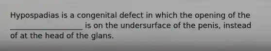 Hypospadias is a congenital defect in which the opening of the ___________________ is on the undersurface of the penis, instead of at the head of the glans.