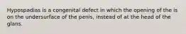 Hypospadias is a congenital defect in which the opening of the is on the undersurface of the penis, instead of at the head of the glans.