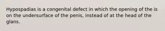 Hypospadias is a congenital defect in which the opening of the is on the undersurface of the penis, instead of at the head of the glans.