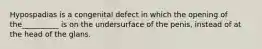 Hypospadias is a congenital defect in which the opening of the__________ is on the undersurface of the penis, instead of at the head of the glans.