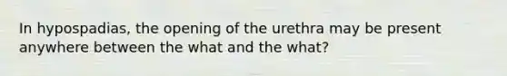 In hypospadias, the opening of the urethra may be present anywhere between the what and the what?