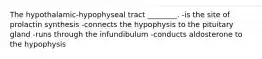 The hypothalamic-hypophyseal tract ________. -is the site of prolactin synthesis -connects the hypophysis to the pituitary gland -runs through the infundibulum -conducts aldosterone to the hypophysis