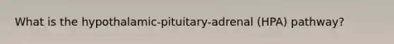 What is the hypothalamic-pituitary-adrenal (HPA) pathway?