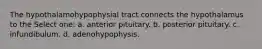 The hypothalamohypophysial tract connects the hypothalamus to the Select one: a. anterior pituitary. b. posterior pituitary. c. infundibulum. d. adenohypophysis.