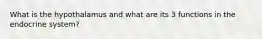 What is the hypothalamus and what are its 3 functions in the endocrine system?