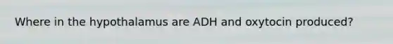 Where in the hypothalamus are ADH and oxytocin produced?