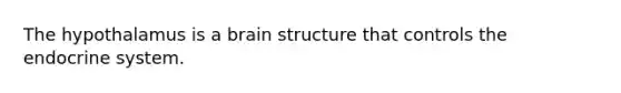 The hypothalamus is a brain structure that controls the <a href='https://www.questionai.com/knowledge/k97r8ZsIZg-endocrine-system' class='anchor-knowledge'>endocrine system</a>.