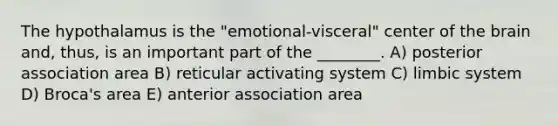 The hypothalamus is the "emotional-visceral" center of <a href='https://www.questionai.com/knowledge/kLMtJeqKp6-the-brain' class='anchor-knowledge'>the brain</a> and, thus, is an important part of the ________. A) posterior association area B) reticular activating system C) limbic system D) Broca's area E) anterior association area