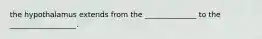 the hypothalamus extends from the ______________ to the __________________.