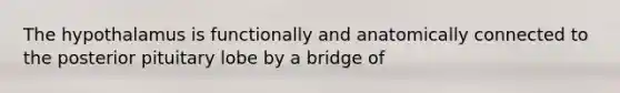 The hypothalamus is functionally and anatomically connected to the posterior pituitary lobe by a bridge of