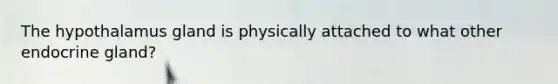 The hypothalamus gland is physically attached to what other endocrine gland?