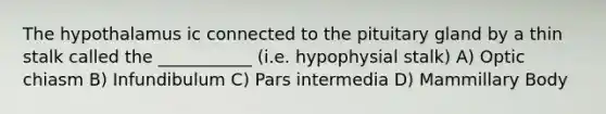 The hypothalamus ic connected to the pituitary gland by a thin stalk called the ___________ (i.e. hypophysial stalk) A) Optic chiasm B) Infundibulum C) Pars intermedia D) Mammillary Body