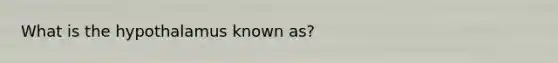 What is the hypothalamus known as?